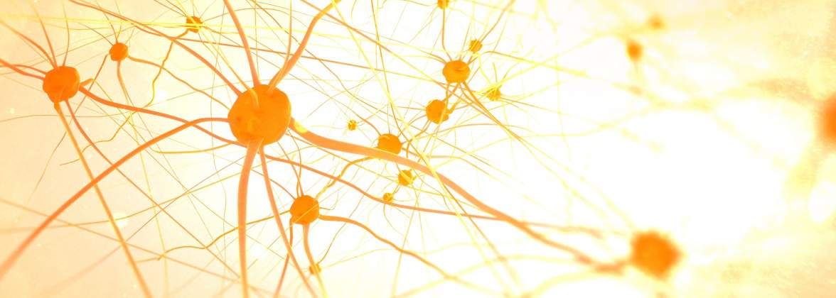 Gabinet Endokrynologiczno-Internistyczny Alina Zając-Wróblewska