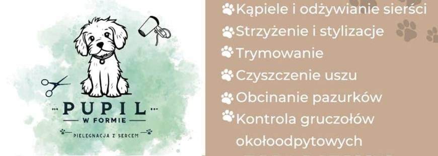 Pupil w Formie Tomaszczyk Anna