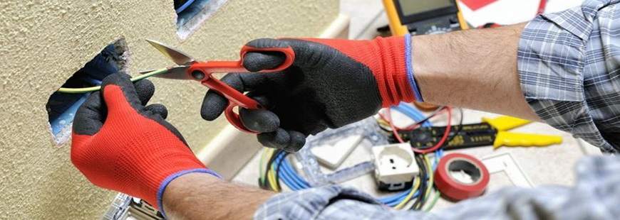 Karol Krasuski Amnis, Łomianki