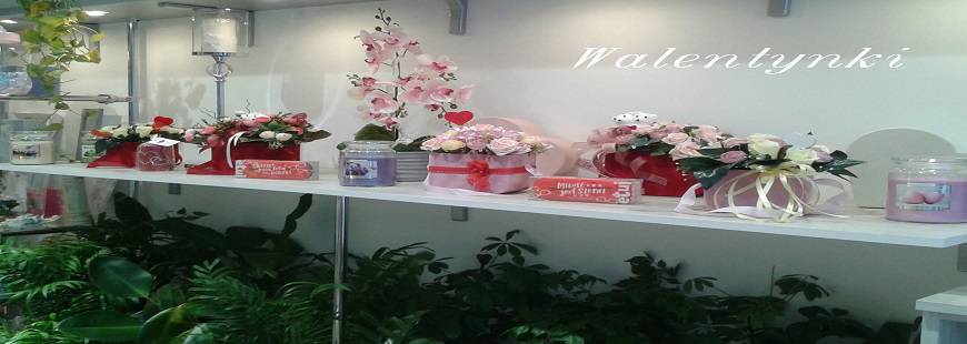 Kwiaciarnia Róża Anna Trzcińska