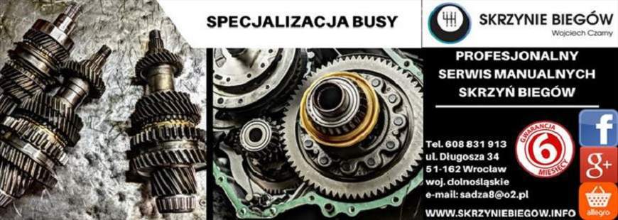 Skrzynie Biegów Czarny Wojciech Czarny