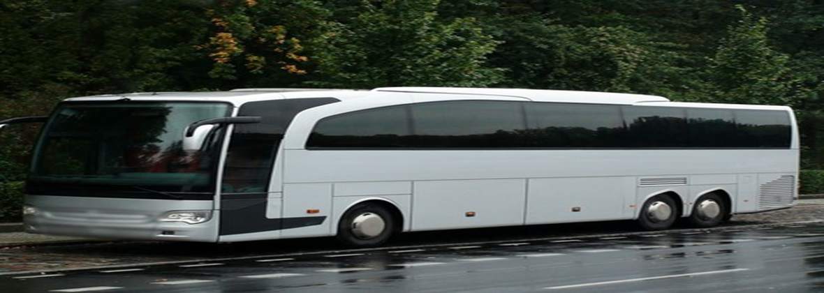 Trans - Bus Travel Jacek Włodarczyk