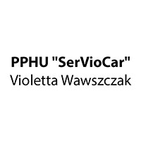 PPHU "SerVioCar" Violetta Wawszczak - Elektronika samochodowa