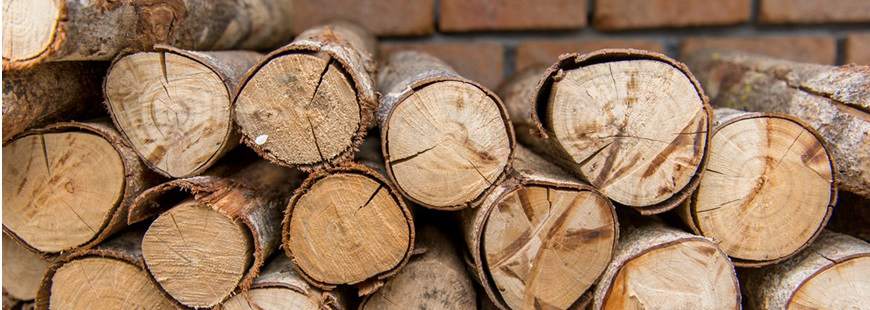 Elżbieta Smereczyńska Przedsiębiorstwo Dystrybucji Drewna Opałowego