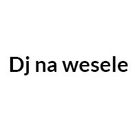 Dj na wesele - Parki rozrywki