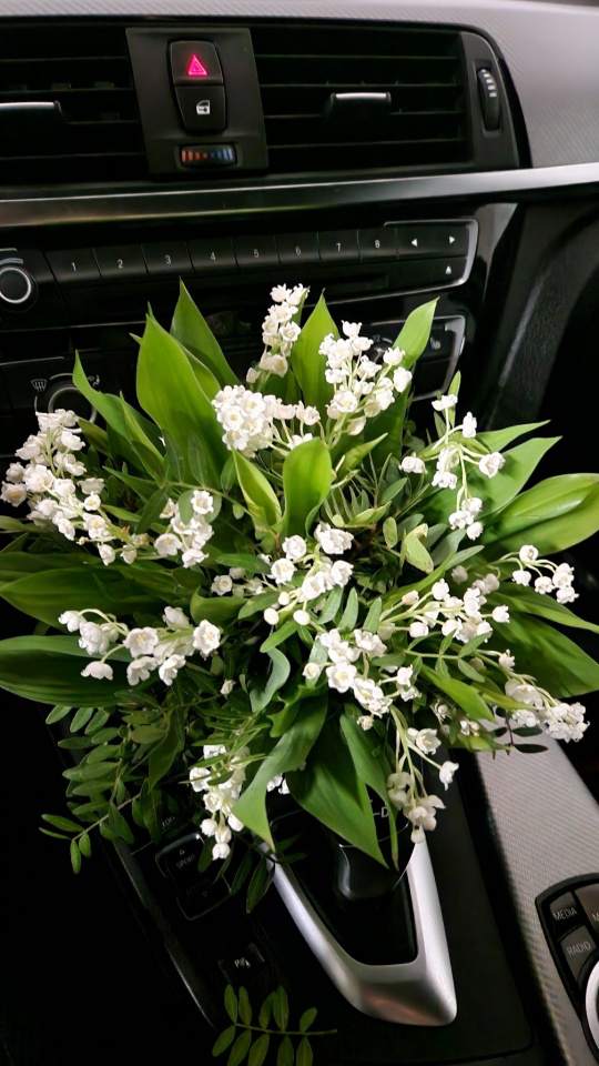 kwiaciarnia, bukiety, boxy kwiatowe, wiązanki