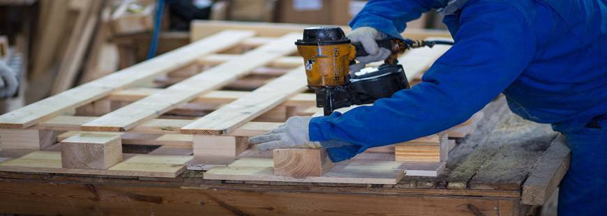 Argus producent palet