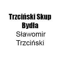 Trzciński Skup bydła Sławomir Trzciński - Zwierzęta hodowlane