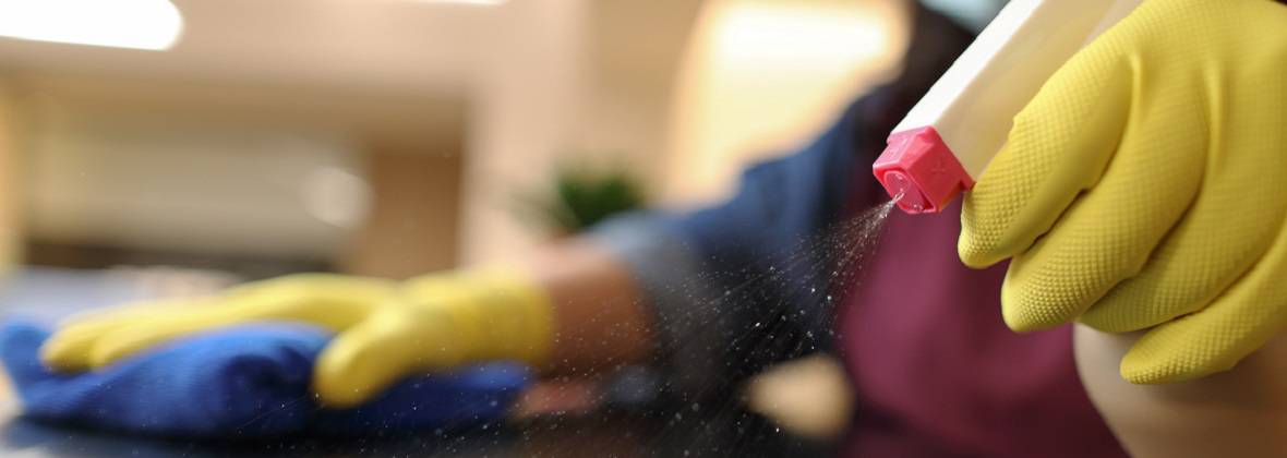 Luxury Cleaning Olha Mokhnatchuk