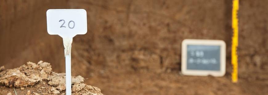 Archeo Odkrycia - Przemysław Lasek