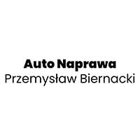 Auto Naprawa Przemysław Biernacki - logo