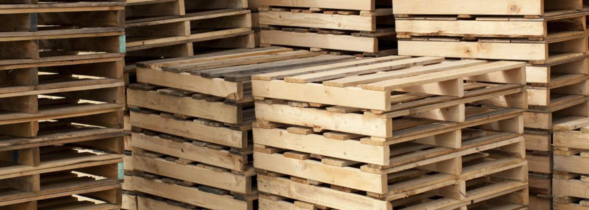 Drew-Pal Paulina Kowalczyk