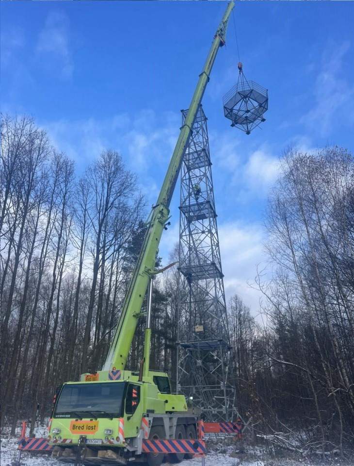 wynajem dźwigów, dźwigi samochodowe