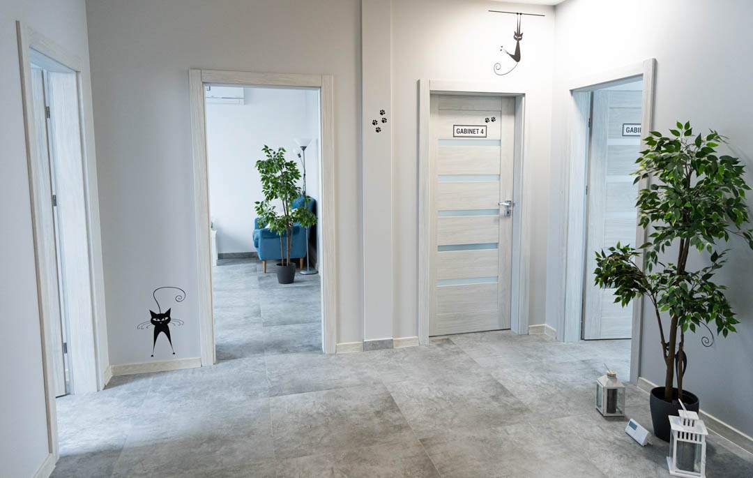 Psychiatrzy psycholodzy i psychoterapeuci