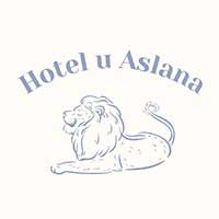 Hotel dla psów u Aslana Dorota Dorniak - Zwierzęta domowe