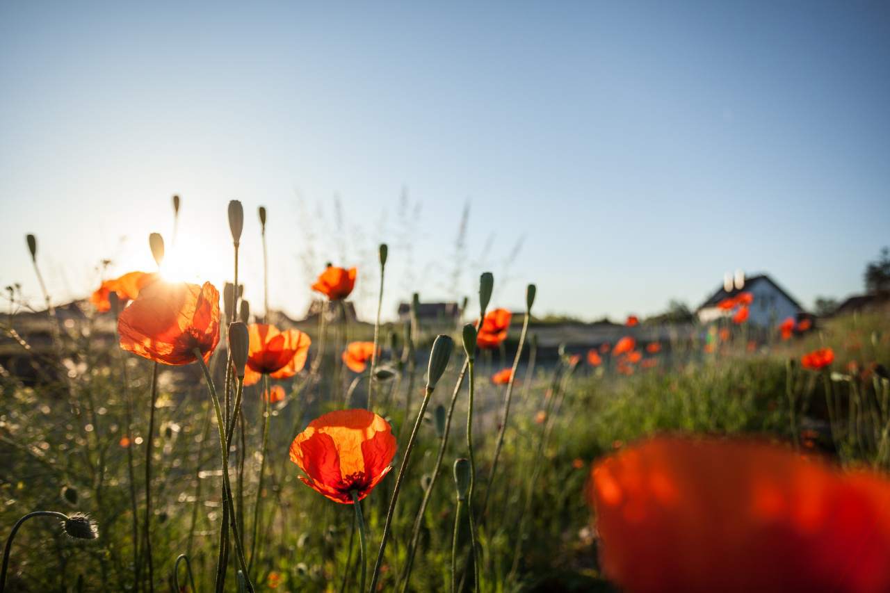 działki na sprzedaż