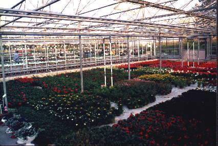 akcesoria ogrodnicze