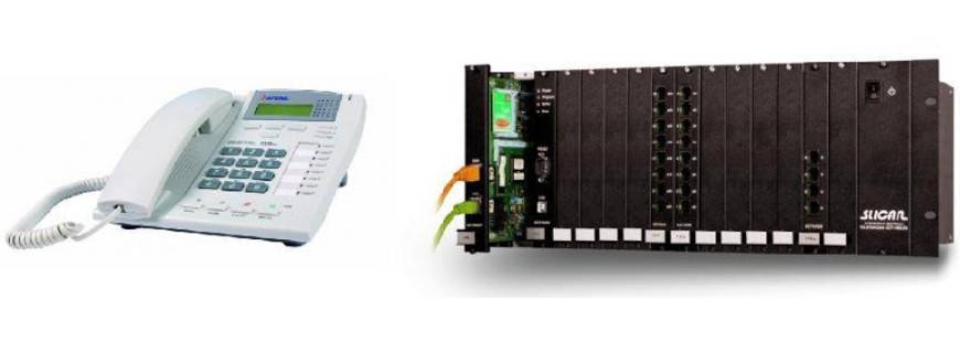 Tel Nea Andrzej Piotrowski