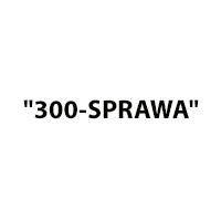 "300-SPRAWA" - Sprzątanie wnętrz i mycie okien