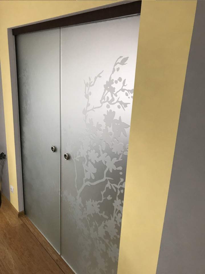 drzwi podwójne szklane