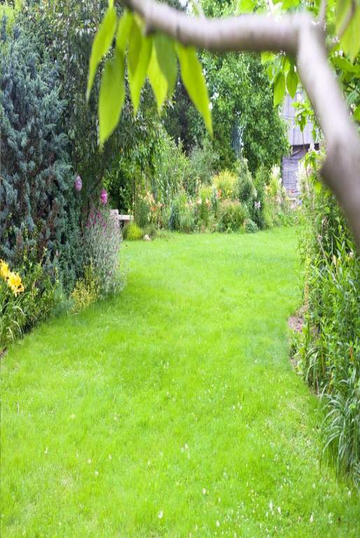 zakładanie ogrodów