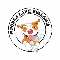 Podaj Łapę Bullom - Fundacje i instytucje charytatywne