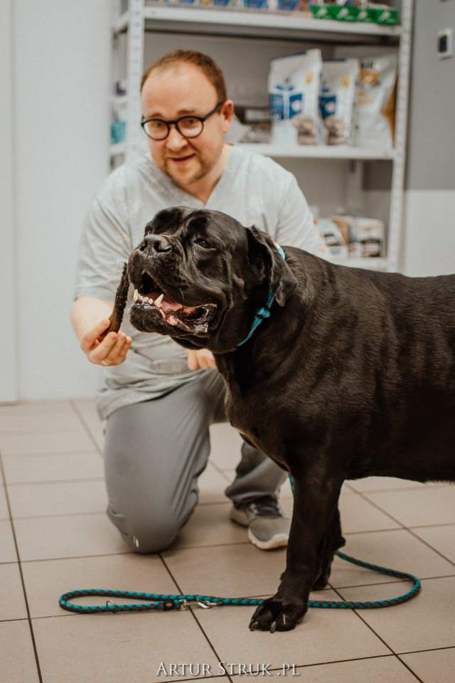 gabinet weterynaryjny, przychodnia weterynaryjna, weterynarz