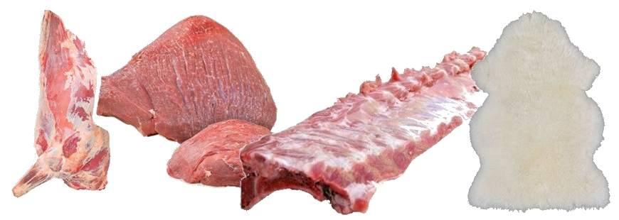 Ubojnia Starowiskitki