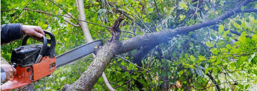 Marcin Tomczyk Tomar