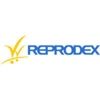 Reprodex Sp. z o.o. - Sprzątanie wnętrz i mycie okien