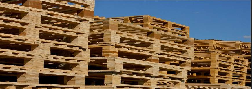 Daniel Gierach Skup Palet