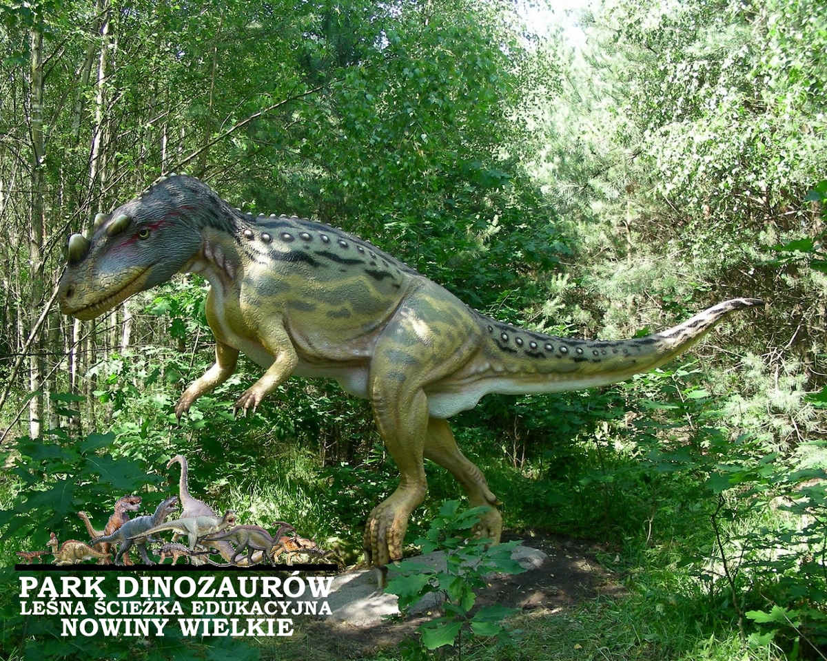 park z modelami dinozaurów