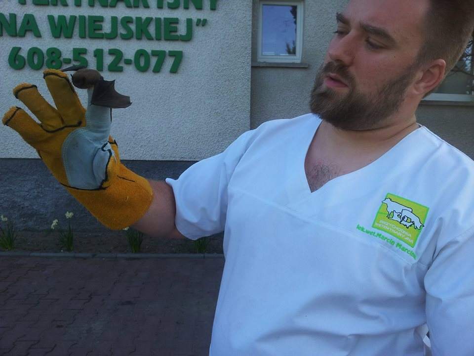 lecznica dla zwierząt