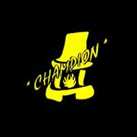 Kafelkowanie i Kominki Champion Henryk Gołociński - Wykończenia wnętrz