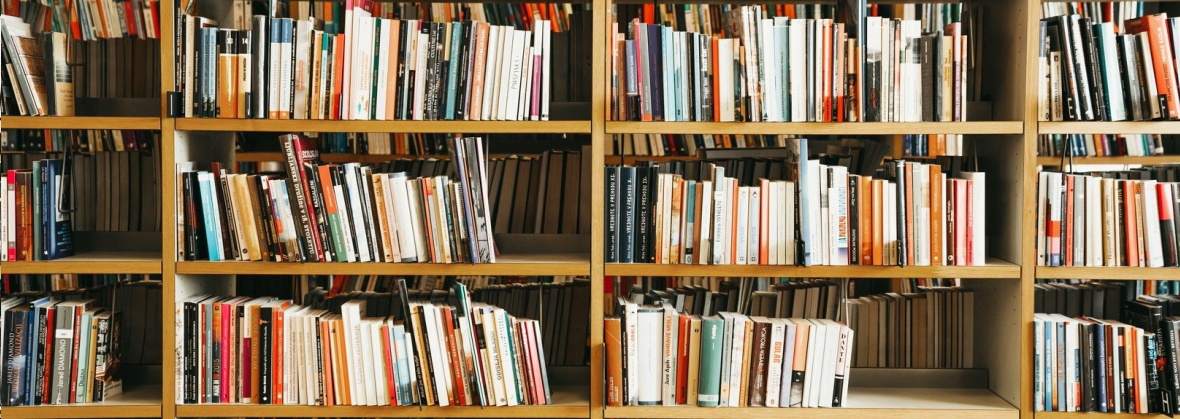 Romanista Instytut Języków Romańskich