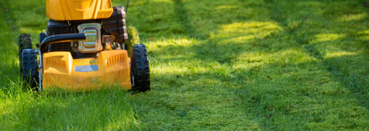 Larix Ogrody Paweł Lis