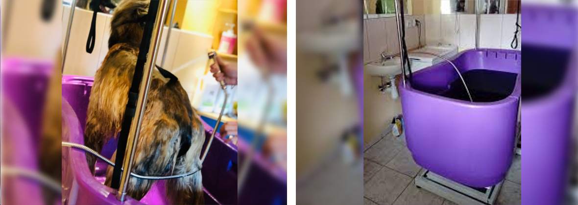 Hotel Dla Psów Diana Elżbieta Fiałkowska-Wenta