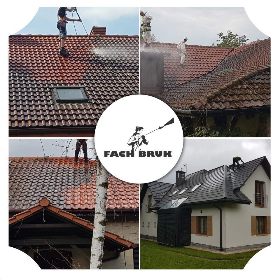 czyszczenie dachów