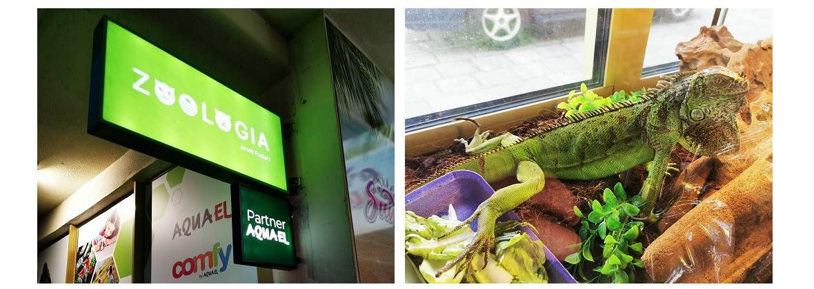 Zoologia Jacek Fusiarz