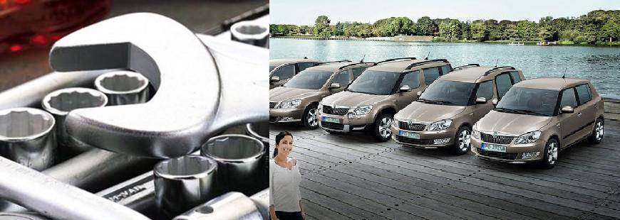 Sis PPHU Artur Sobczak, Rafał Sobczak