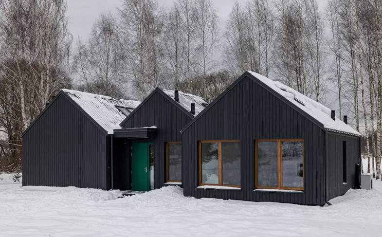 drewno palone shou sugi ban