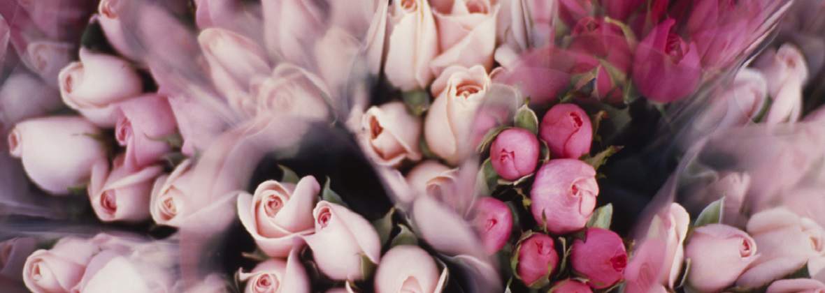 Kwiaciarnia Magnolia Grzegorz Tchórzewski