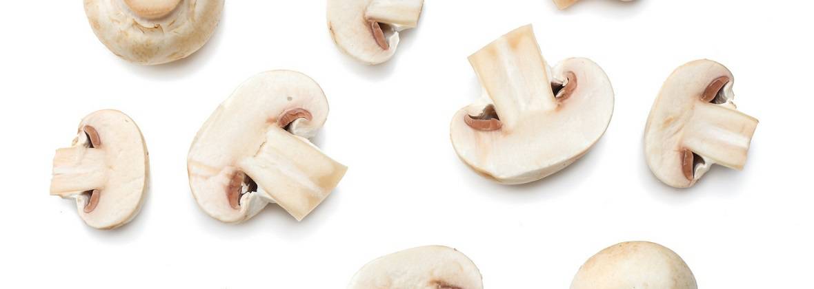 Tomasz Sakowski Skup i sprzedaz pieczarek