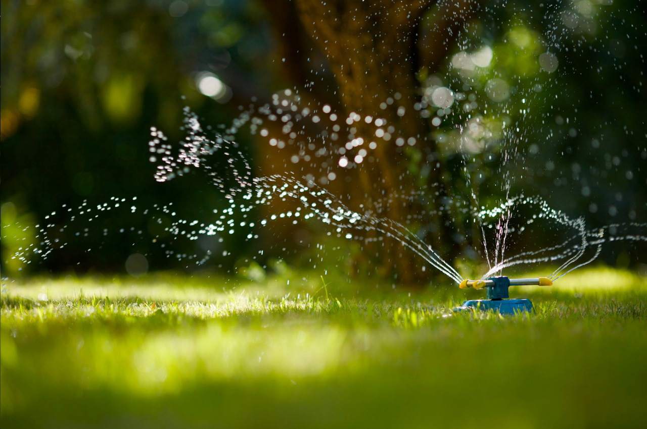 pielęgnacja ogrodów