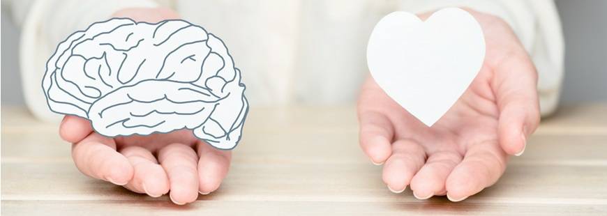 Psychologia Dawid Wilk