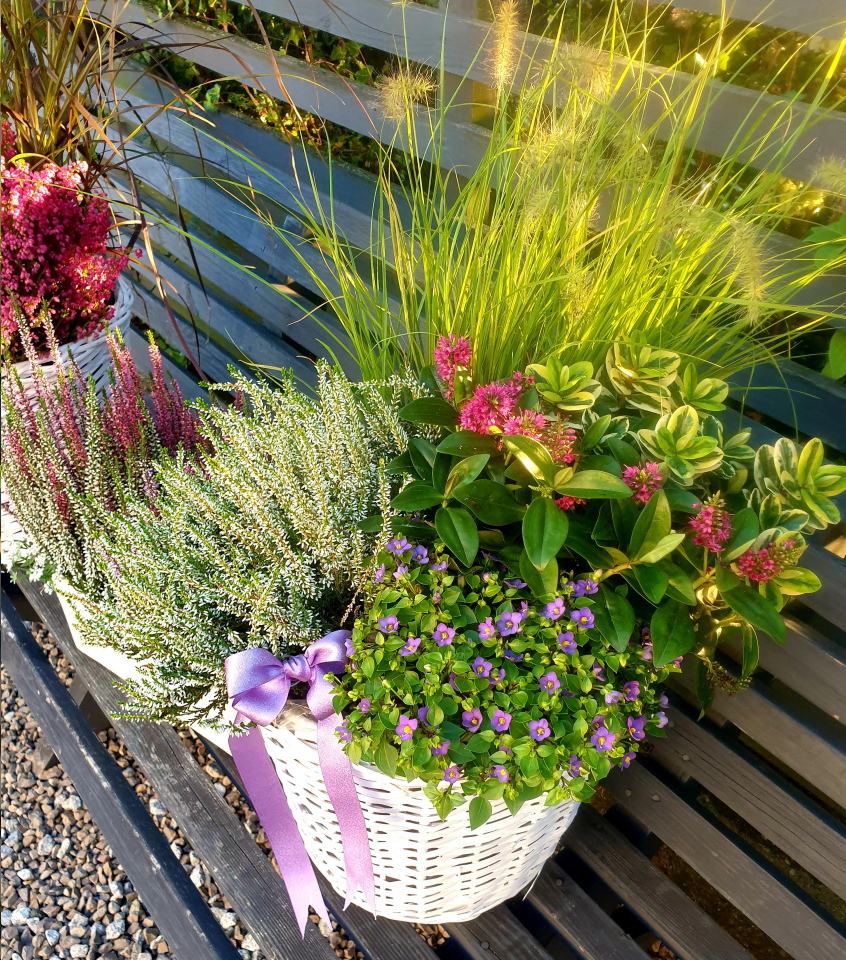 kompozycje z wrzosem