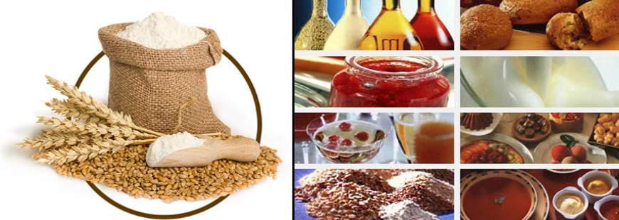 Agrotrade sp. z o.o.