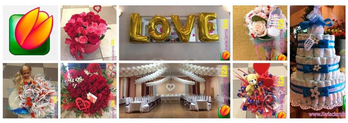 Iza Firma Handlowa Agnieszka Wilczyk