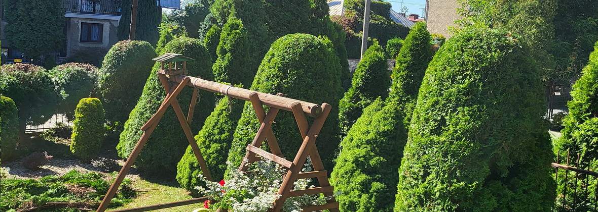 Usługi Ogrodnicze Tuja Agnieszka Tucharz