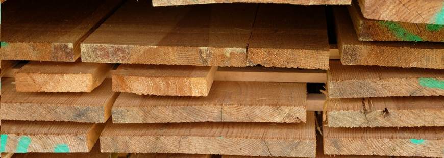 Ma- Drew Maciej Garbarczyk